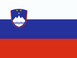 Flag of Slovenia 